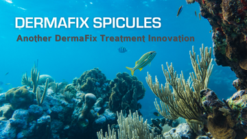 DermaFix Spicule Treatment